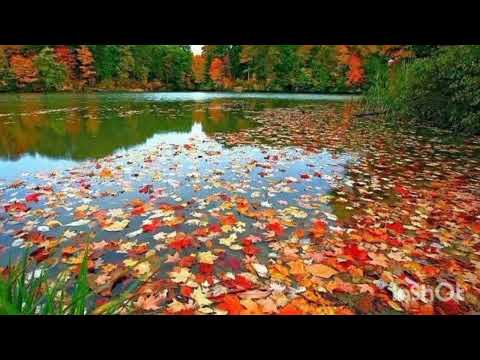 Видео: Обеззброєна ( кавер)