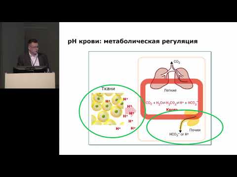 Видео: Интерпретация КЩС Торшин С.В. 2019