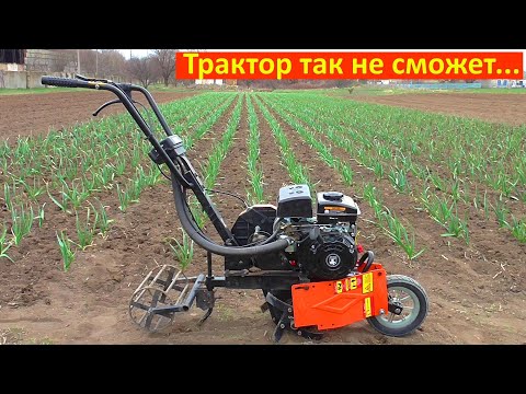 Видео: Мотокультиватором по ЧЕСНОКУ !!!