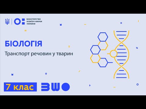 Видео: 7 клас. Біологія. Транспорт речовин у тварин