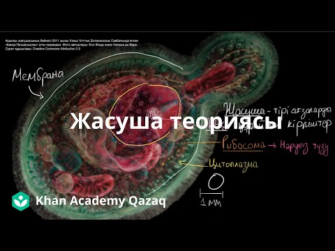Видео: Жасушаға кіріспе | Қазақ Хан Академиясы