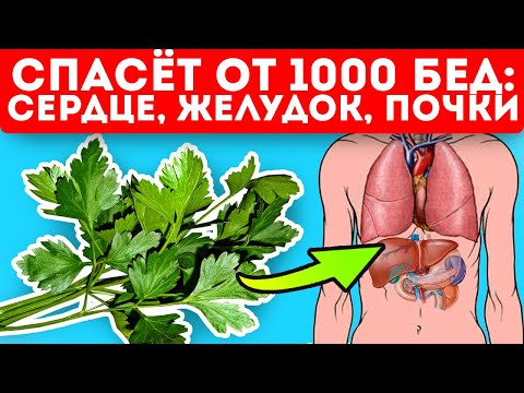 Видео: Петрушка вместо таблеток! Лечит кожу, легкие, почки и даже простатит!