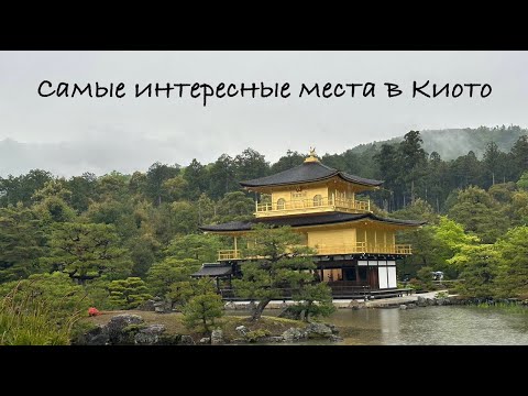 Видео: Храмы, замки и тысячи арок: самое красивое в Киото за 2 дня