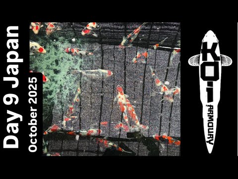 Видео: День 9 Япония Октябрь 2025