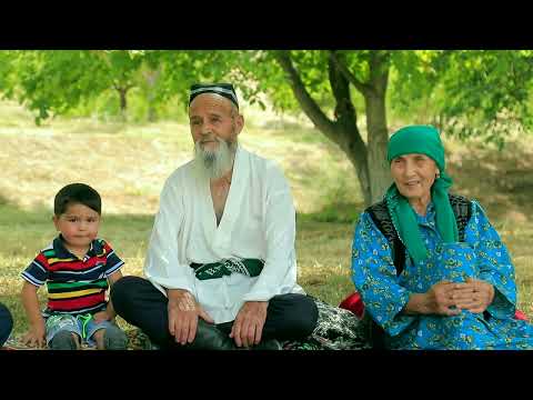 Видео: СЎХДА ЕТИШТИРИЛГАН МЕВАЛАР НЕГА ҚИММАТ?