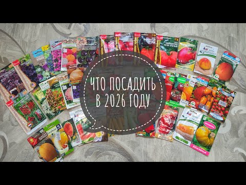 Видео: Что посадить в 2026 году. Какие томаты порадовали в этом сезоне. Лучшие сорта томатов этого сезона. 