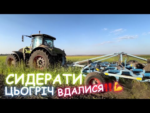 Видео: Сидерати‼️ Припиняєм ріст‼️