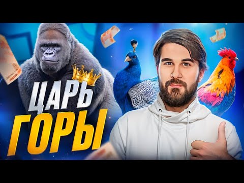 Видео: Как нас разоряет иерархическая борьба. Как доминирование делает нас несчастными. Этология и деньги