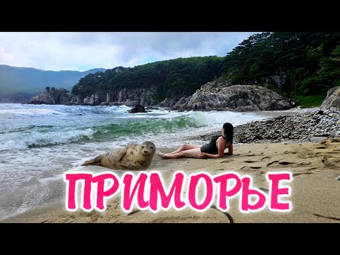 Видео: Владивосток 2025: Первое впечатление о ПРИМОРЬЕ. Цены на экскурсии. Что посмотреть в этом крае