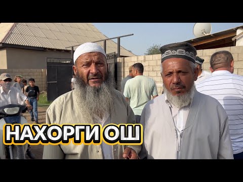 Видео: нахор ош