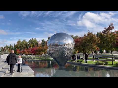 Видео: 😳Октябрь 2025 в Парке Галицкого зацвел рододендрон.