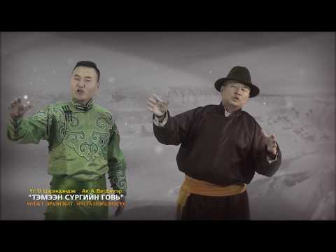Видео: "Тэмээн сүргийн говь" МУГЖ Г.Эрдэнэбат, МУСТА О.Эрдэнэсүх