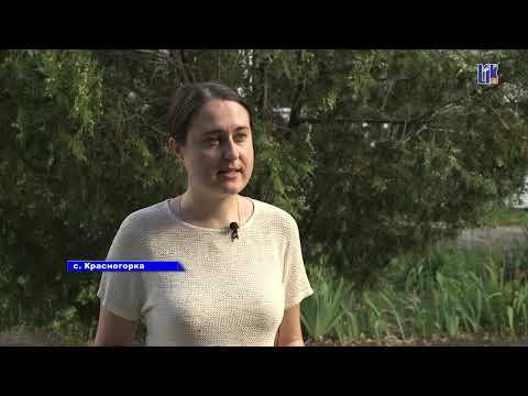Видео: В СЕЛЕ КРАСНОГОРКА ГРИГОРИОПОЛЬСКОГО РАЙОНА УТЕПЛЯЮТ СОЦИАЛЬНЫЕ ОБЪЕКТЫ