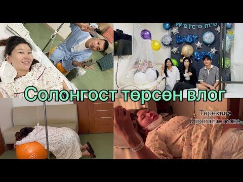 Видео: Хүүтэйгээ уулзсан өдөр🥰 | 2 хоног өвдсөн боловч….. | Найзуудын гэнэтийн бэлэг | Солонгост төрөх