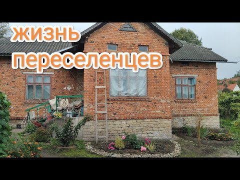 Видео: Купили дом в селе:Вечер изменил планы
