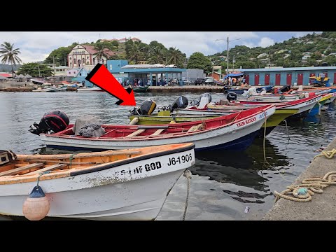 Видео: День в рыболовном порту Деннери 🇱🇨 | Настоящая островная жизнь в Сент-Люсии!!