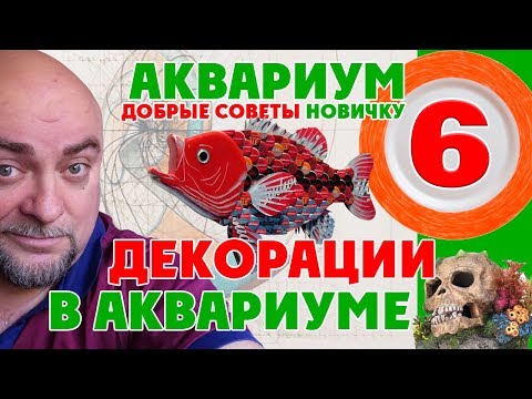 Видео: Аквариум. Декорации в аквариуме. Добрые советы новичкам.