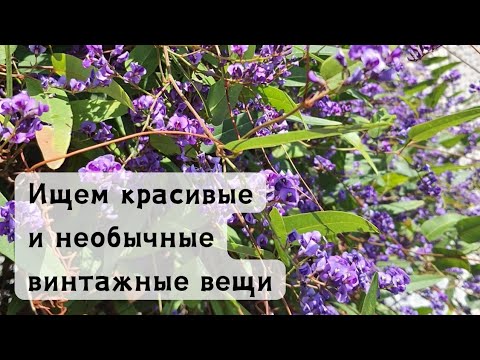 Видео: С удовольствием хожу в секонд хенд. Там всегда столько красивого!