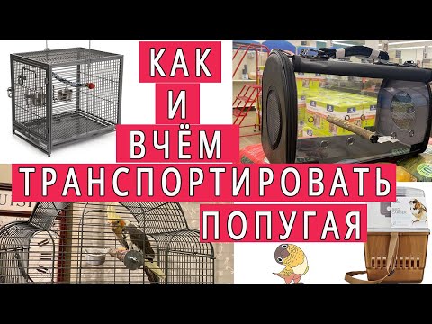 Видео: КАК ТРАНСПОРТИРОВАТЬ ПОПУГАЯ И В ЧЁМ | ВИДЫ ПЕРЕНОСОК ДЛЯ ПОПУГАЕВ