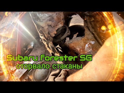 Видео: Синдром Субариста: Стаканы нафиг оторвало Subaru SG