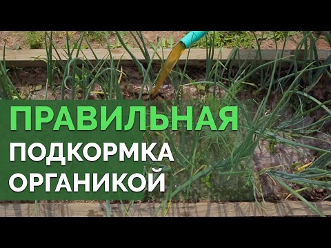 Видео: Органические удобрения: виды, польза и вред, рецепты | Технология изобилия