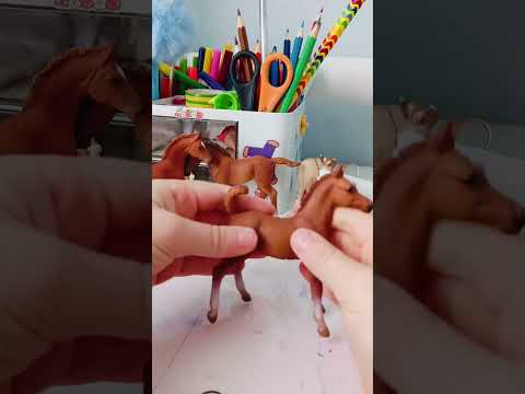 Видео: Обзор на лошадей