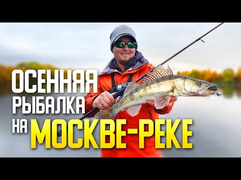 Видео: ГДЕ РЫБА? Проверка ИЗВЕСТНЫХ МЕСТ на нижней Москве реке