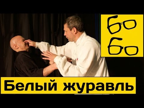 Видео: Кунг-фу — это тяжелая работа. Виктор Панасюк о "Кулаке Белого Журавля" и традиционных единоборствах