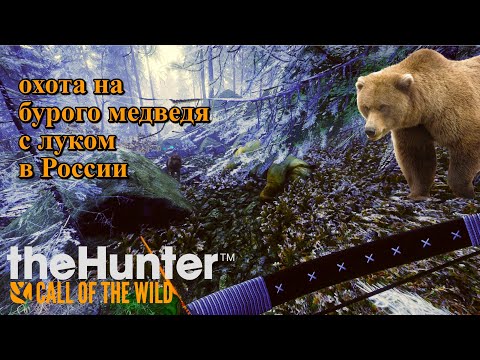 Видео: theHunter  Call of the Wild охота на медведя с луком в России.