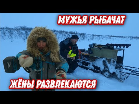 Видео: РЫБАЛКА в тундре КОЛЬСКОГО полуострова. Мужья ловят рыбу, ЖЁНАМ подавай развлечения!