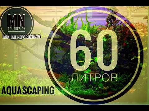 Видео: Акваскейпинг. Аквариум 60 литров.
