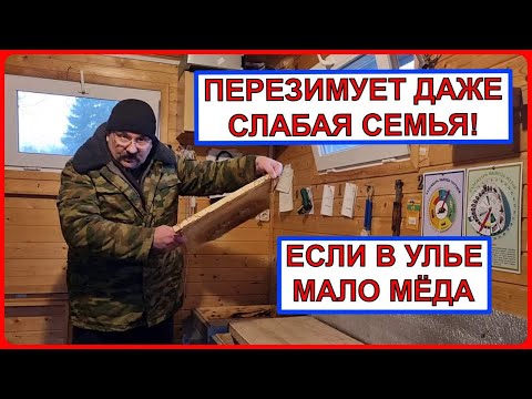 Видео: 🔴 У Вас слабая семья? В улье мало мёда? - Не беда! Что надо сделать, чтобы зимовка пчел получилась 🔴