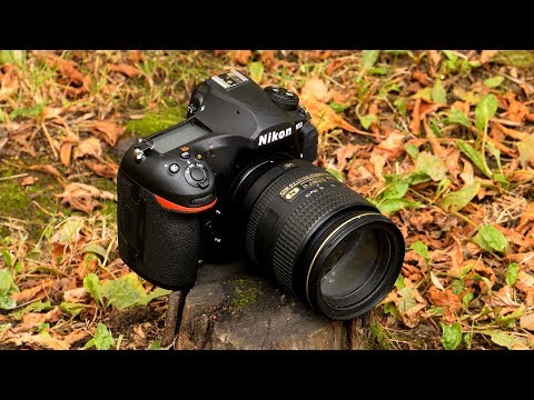 Видео: Полнокадровая зеркальная фотокамера Nikon D850