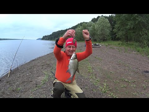 Видео: Супер Рыбалка на донки на Леща на реке Кама.Ловля крупной сороги на донки.