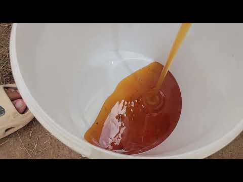 Видео: 918853604. Асали беҳтаринро дархост карда харидорӣ намоед.