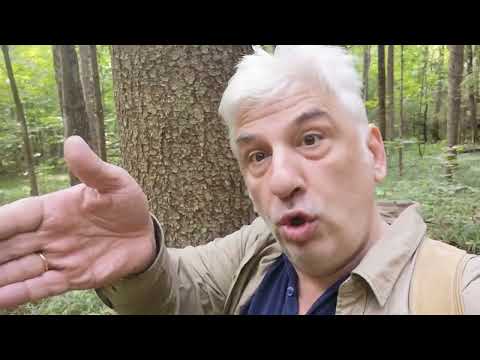 Видео: Чтобы петь, надо звать