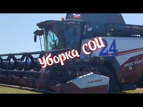 Видео: Уборка сои на комбайне Ростсельмаш РСМ161: Процесс от начала до конца