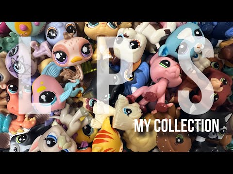 Видео: LPS collection /littlest pet shop | моя коллекция 🫧