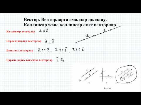 Видео: Вектор. Векторларға амалдар қолдану. Коллинеар, коллинеар емес векторлар | 9 сынып геометрия