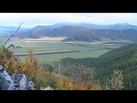 Видео: "Координаты: Алтай" - Уймонская долина (Бийское телевидение)