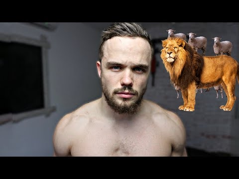 Видео: Как Стать ЛЬВОМ Среди Овец | RD 194