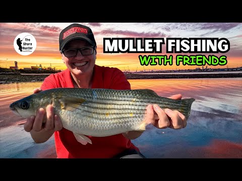 Видео: Рыбалка на пляже в Великобритании, ловля кефали, «Охотник на берегу и его друзья» 4K