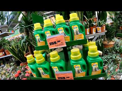 Видео: ОБИ Магазининдеги ГУЛДОР