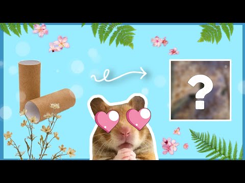 Видео: DIY ДЛЯ ХОМЯКОВ 🐹 || КАК СДЕЛАТЬ ИГРУШКУ ДЛЯ ХОМЯКА В ДОМАШНИХ УСЛОВИЯХ 🌿