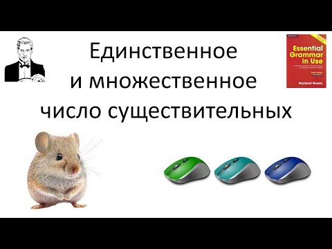 Видео: Единственное и множественное число существительных. Singular and plural.