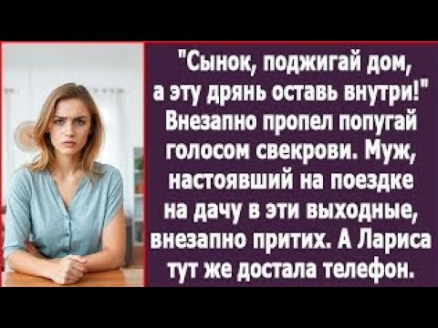 Видео: Сынок, поджигай дом, а эту дрянь оставь внутри! Внезапно пропел попугай голосом свекрови.