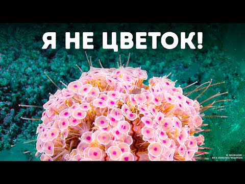 Видео: Если вы воспользуетесь этими советами по безопасности, неприятности останутся в прошлом