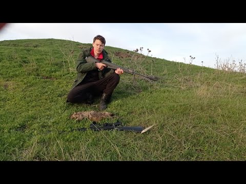 Видео: охота с пневматикой мр512 и ретай135х, добыли сурка