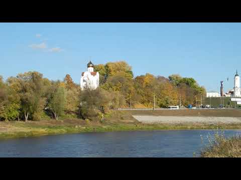 Видео: ЧЕРЕЗ ПРОТОКУ