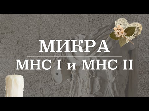 Видео: Главный комплекс гистосовместимости (МНС 1 и МНС 2) | Микробиология